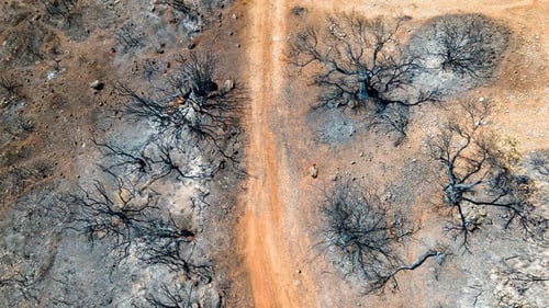 Preview: Aerial drone view of the consequences of fires in Greece