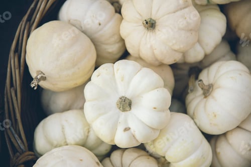 Preview: Traditional autumn pumpkins background.