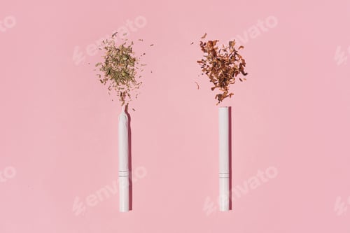 Preview: Hipster photo of two Cigarettes, one with tobacco, second with dry Cannabiz, against pink background