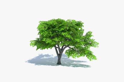 Preview: Stylized Oak Tree: Low Poly Game Asset