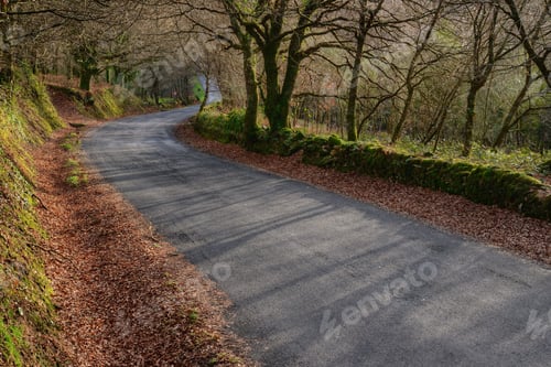 Preview: Secondary Road in the Countryside