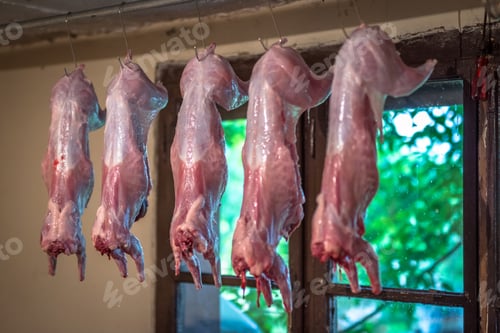 Preview: Raw fresh rabbit meat