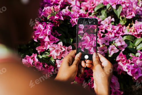 Preview: Flower photography