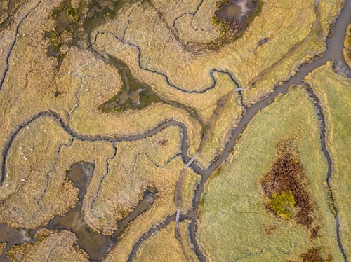 Preview: Aerial view of tidal marshland