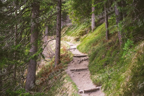Preview: A hiking trail in the Bavarian Alps during spring