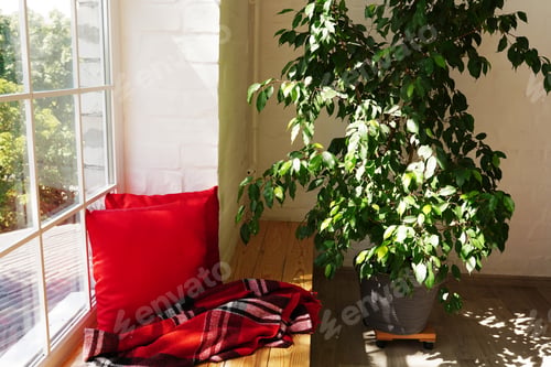 Preview: Interior of home room with window, house design. Nobody at sill, modern decor for cozy indoor place.