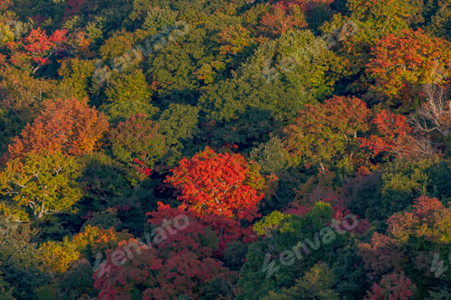 Preview: Fall along the Blue Ridge Parkway