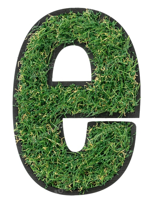 Preview: Letter E made of green grass isolated on white.