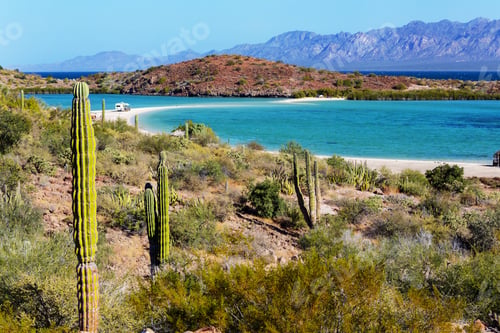 Vorschau: Baja