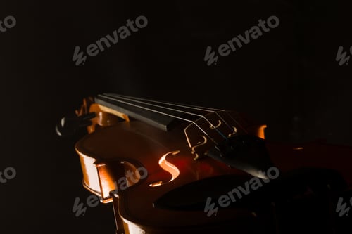 Preview: Elegant violin with smoke