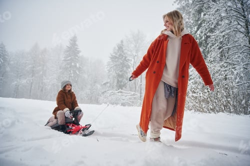 Preview: A woman pulls a sled. Mother and her daughter is on the winter meadow and forest