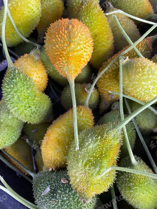 Preview: Vertical closeup of spiny gourds on a stack