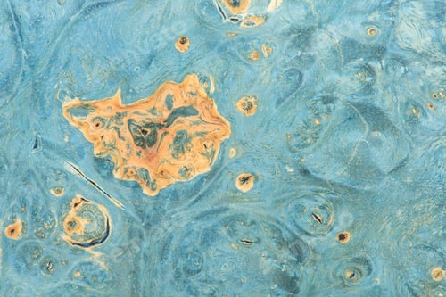 Preview: The background with the texture of a tree on a slice of an unsaturated dark blue color.