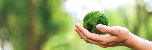 Green Earth Globe Held in Hand Outdoors