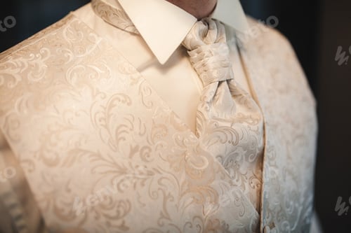 Preview: cropped photo close-up men's waistcoat with white pattern. Modern businessman