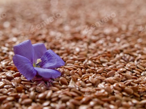 Preview: Purple flower on flax seeds