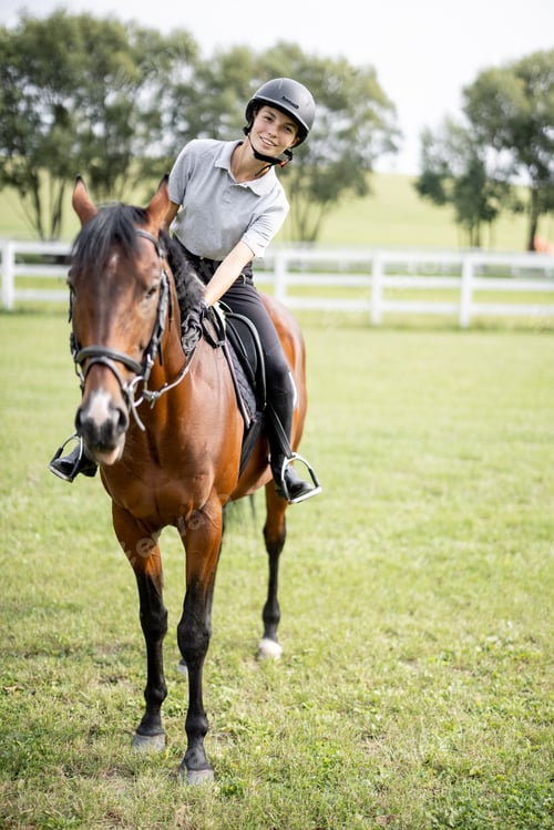 Preview: Female horseman riding brown Thoroughbred horse in summer