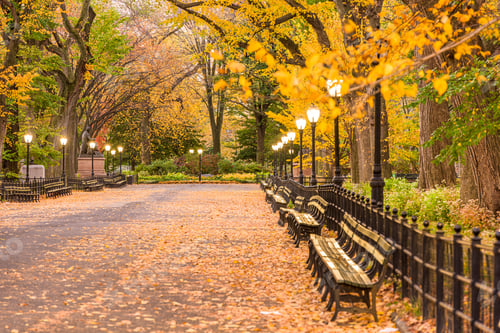 Preview: Central Park at The Mall in New York City