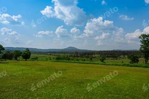 Visualização: Campo de grama verde e fundo de nuvens de céu azul. Paisagem rural.