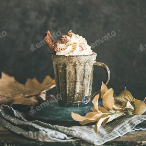 Preview: Hot chocolate with whipped cream and cinnamon, square crop