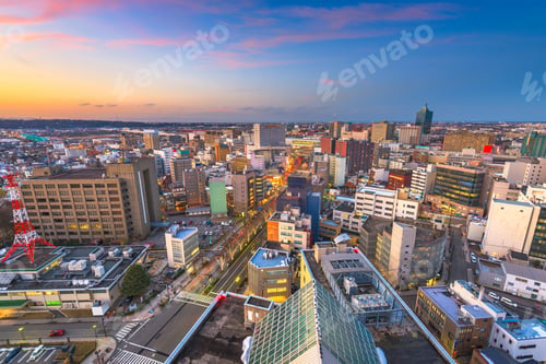 Preview: Toyama, Japan Downtown City Skyline