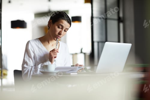 Preview: Businesswoman in cafe