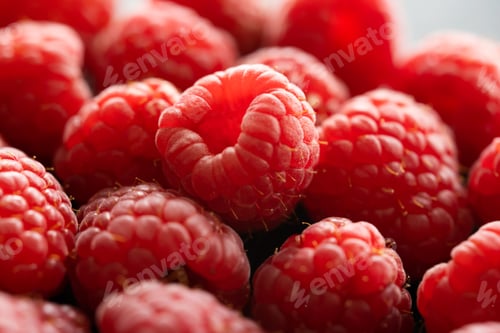 Preview: Fresh red raspberries