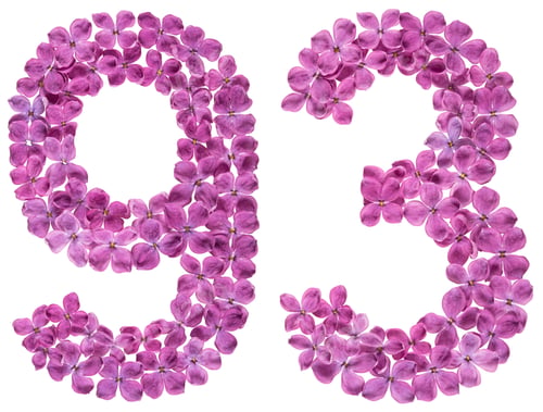 Preview: Arabic numeral 93, ninety three, from flowers of lilac, isolated on white background