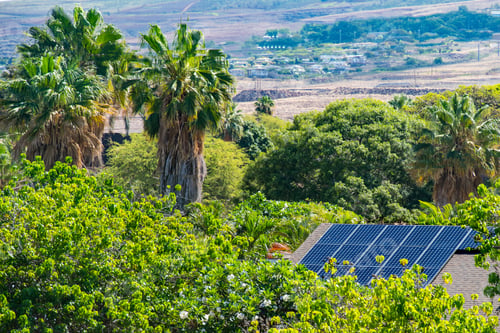 Preview: Solar panels on roof sunny day tropical green
