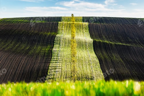 Preview: Green and brown waves of the agricultural fields