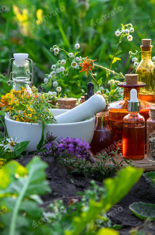 Preview: Medicinal herbs and tinctures alternative medicine. Selective focus.