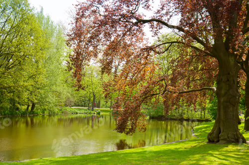 Preview: Vondel park, Amsterdam, Holland