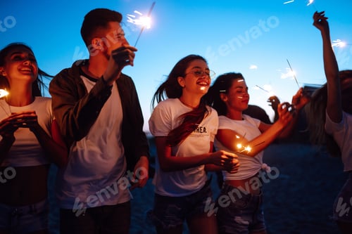 Preview: Group of friends at night on the beach with sparklers. Young friends enjoying on beach holiday.