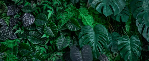 Preview: Creative nature green leaves background.