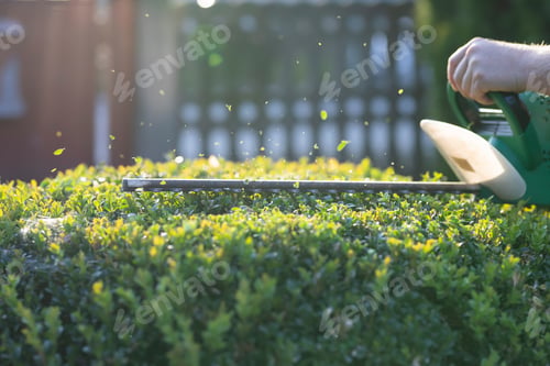 Preview: Shrub pruning, gardening and cutting concept.