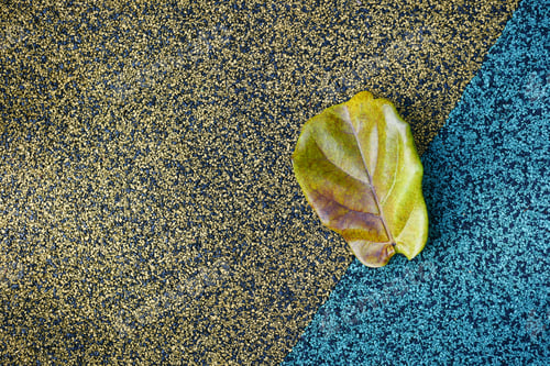 Preview: top view of Dry brown leaf on floor background