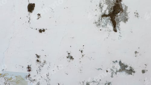 Preview: Old cement wall texture for background