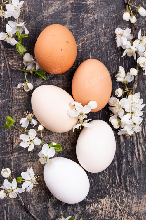 Preview: Chicken eggs gradient from light to dark