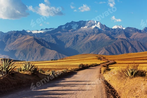 Preview: Peruvian pampa