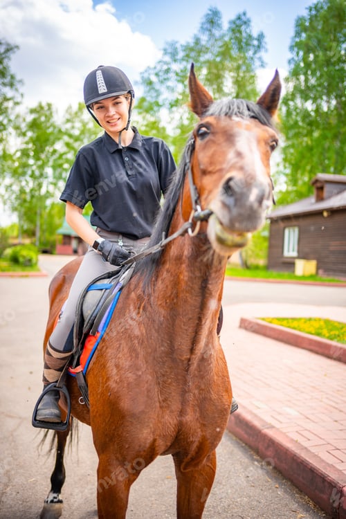 Preview: Lovely young woman wearing helmet stroking to her brown horse.