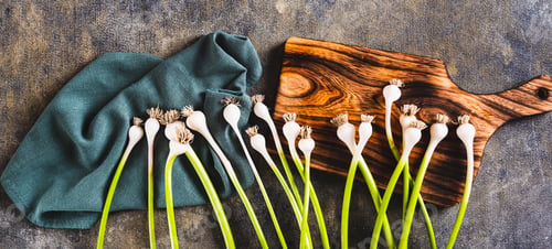 Preview: New trendy vegetable sweet garleek on cloth and cutting board top view web banner