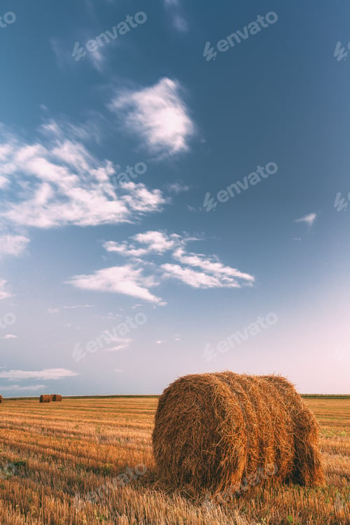Preview: Rural Landscape Field Meadow With Hay Bales After Harvest In Sun