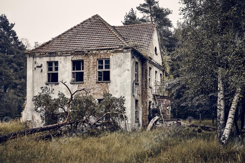 Vista previa: Antigua casa abandonada en un campo de hierba rodeada de árboles