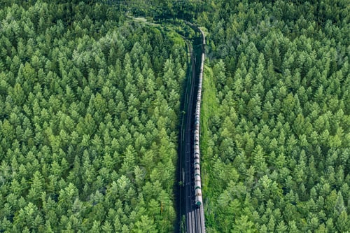 Preview: Aerial view of freight cargo train in green summer woods. Summer landscape with train and railroad