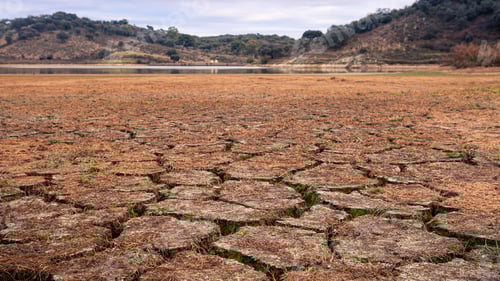 Preview: Climate change land with dry and cracked ground in Spain. Soil drought landscape