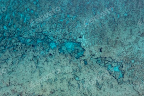 Preview: Top view of rocky ocean underwater surface. Calm tranquil water. Nature background
