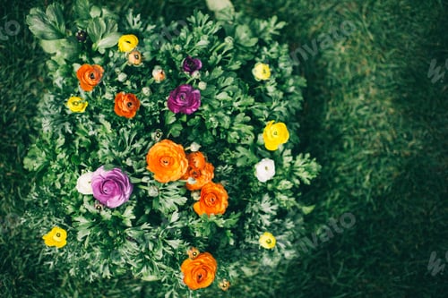Preview: Spring Garden Flowers from Above
