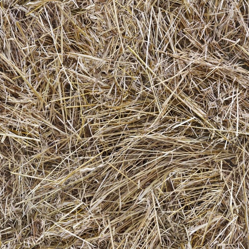 Preview: Hay texture