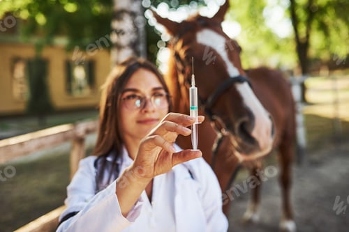 Preview: Looks at syringe. Female vet examining horse outdoors at the farm at daytime