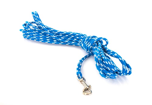 Preview: lead rope in studio